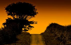 "Go as far as you can see; when you get there, you'll be able to see further." --Thomas Carlyle 