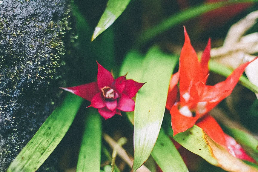 maui09.jpg