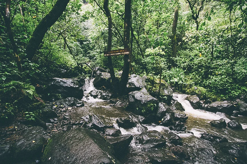 maui23.jpg