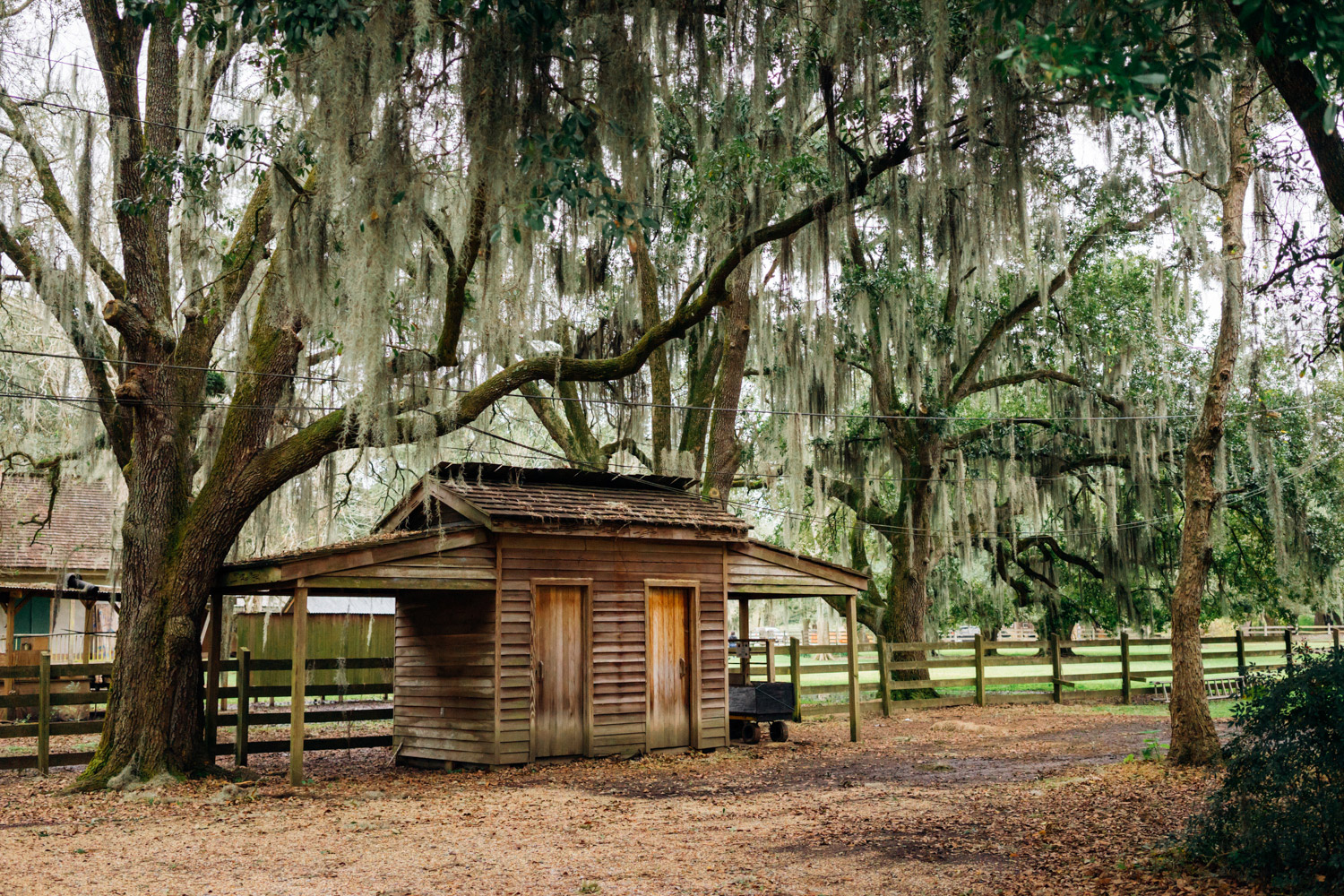 madelene-farin-new-orleans-132.jpg