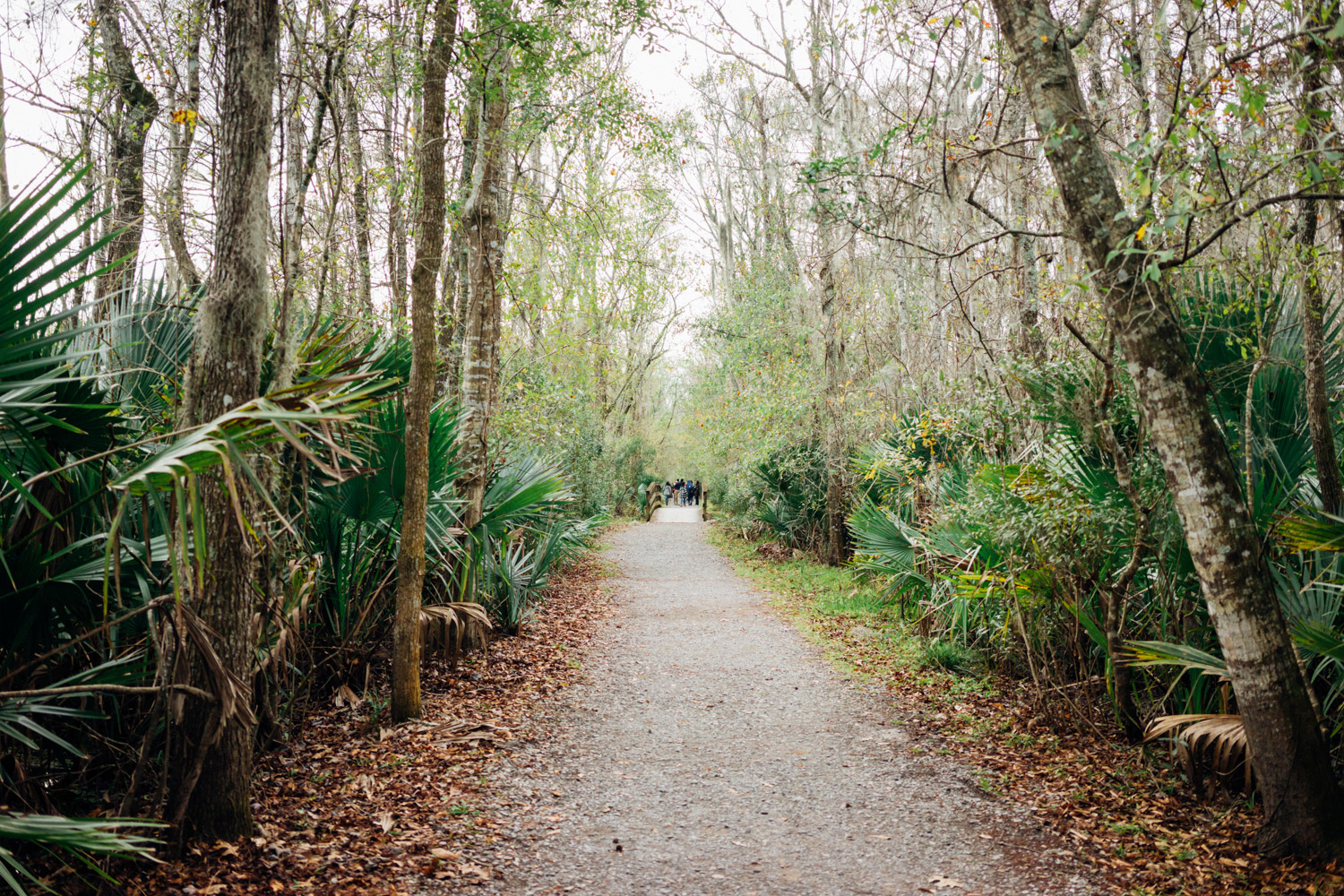 madelene-farin-new-orleans-139.jpg