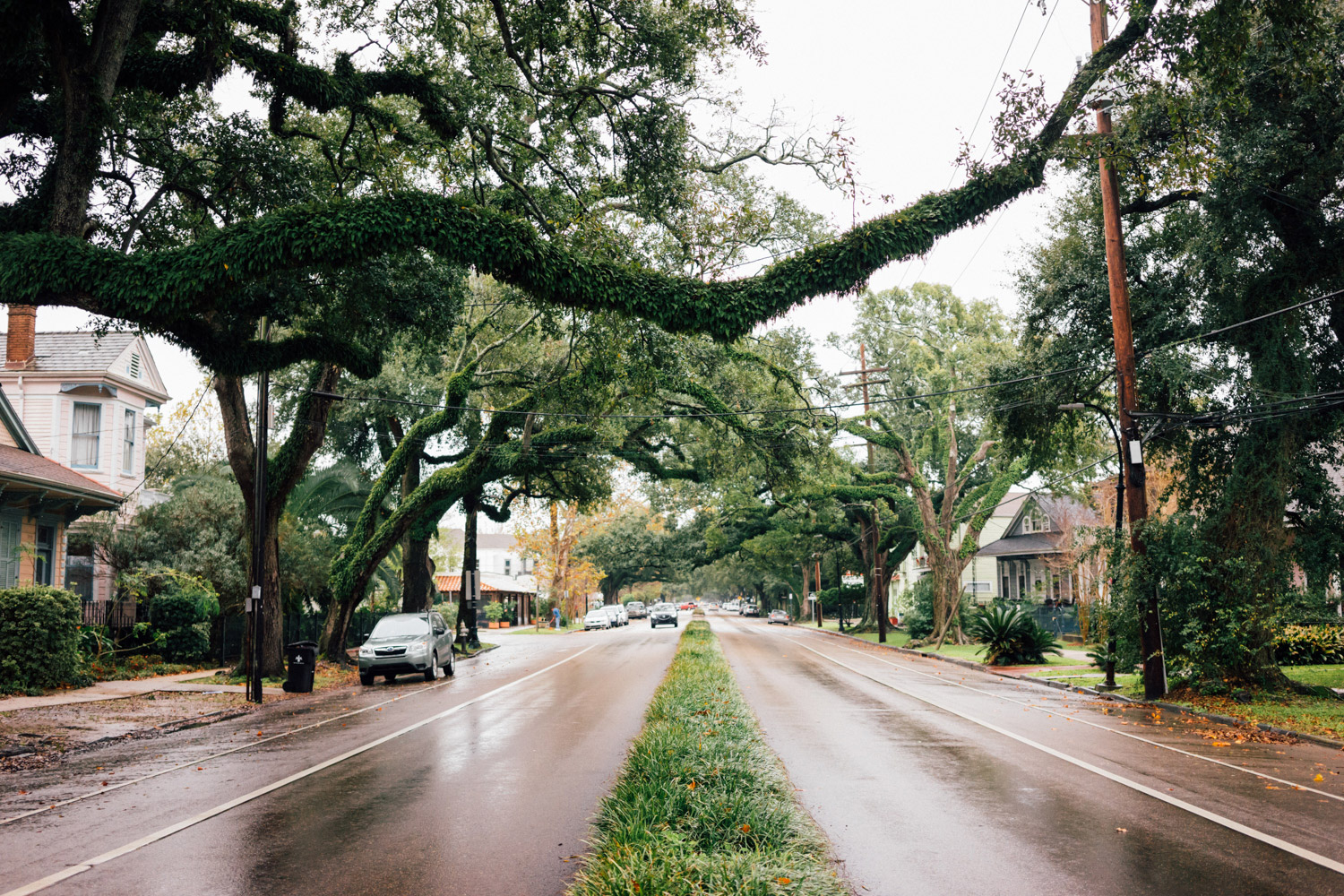 madelene-farin-new-orleans-166.jpg