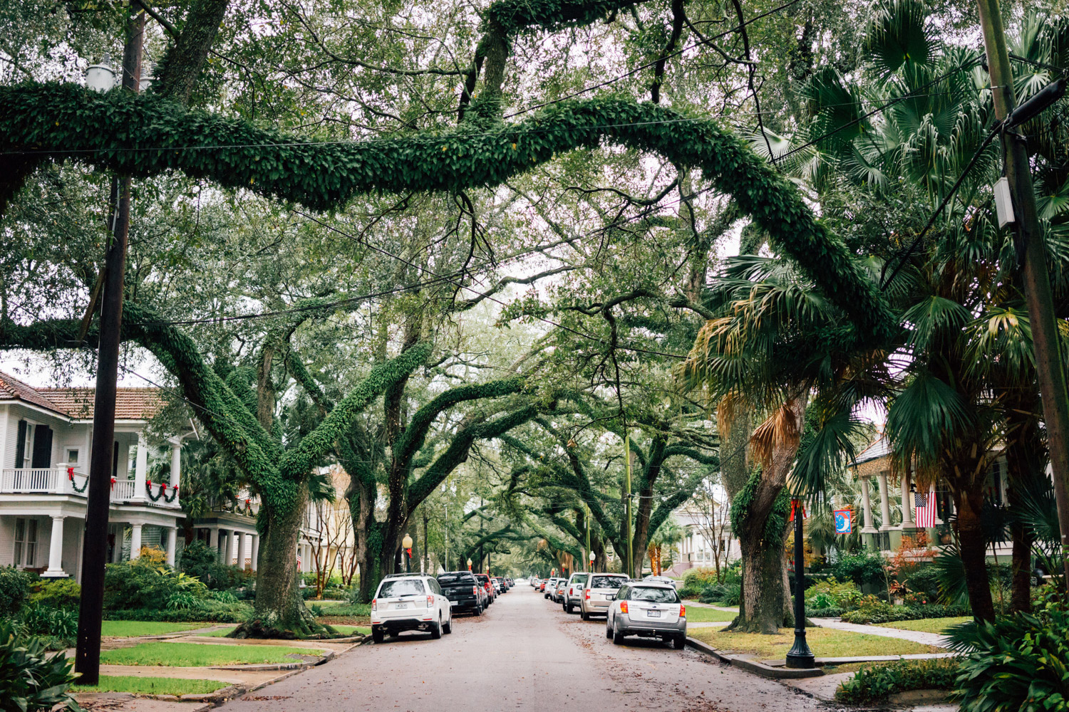 madelene-farin-new-orleans-185.jpg