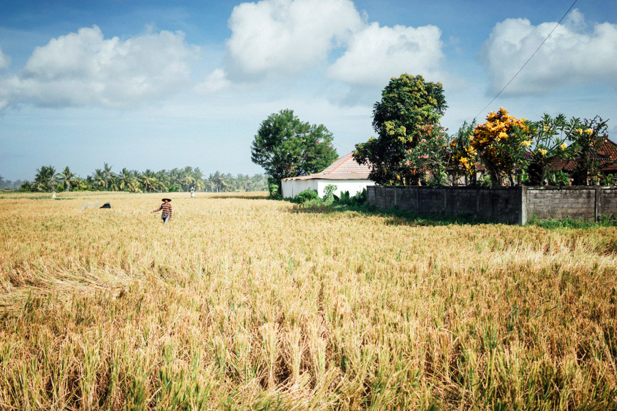 Madelene-Farin-Indonesia-0200.jpg