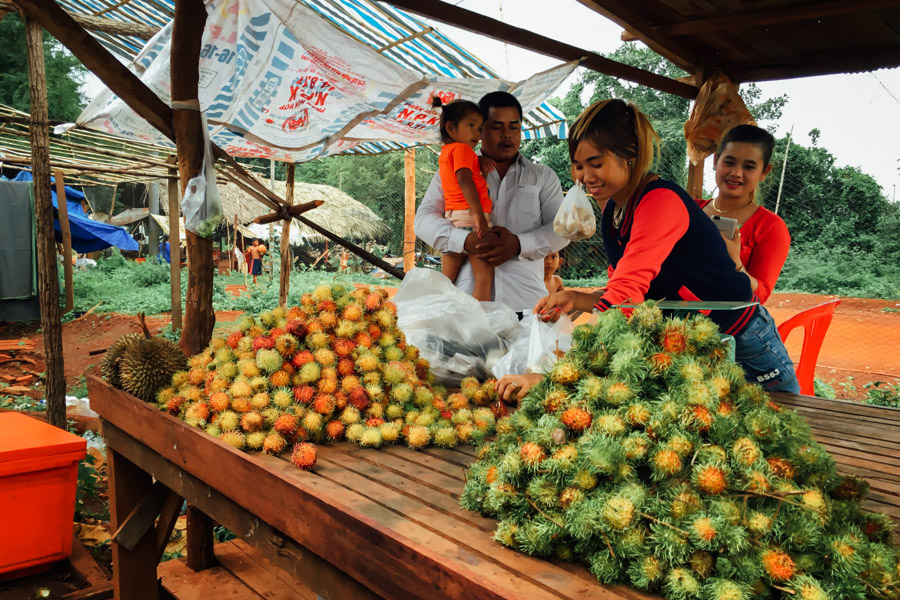 Madelene-Farin-Cambodia-1008.jpg