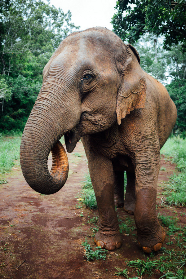 Madelene-Farin-Cambodia-1022.jpg