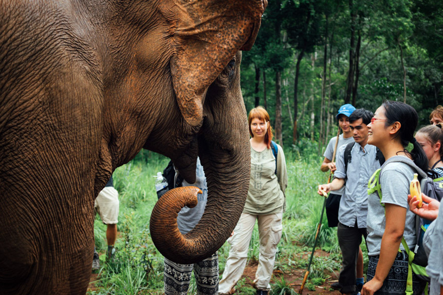 Madelene-Farin-Cambodia-1026.jpg