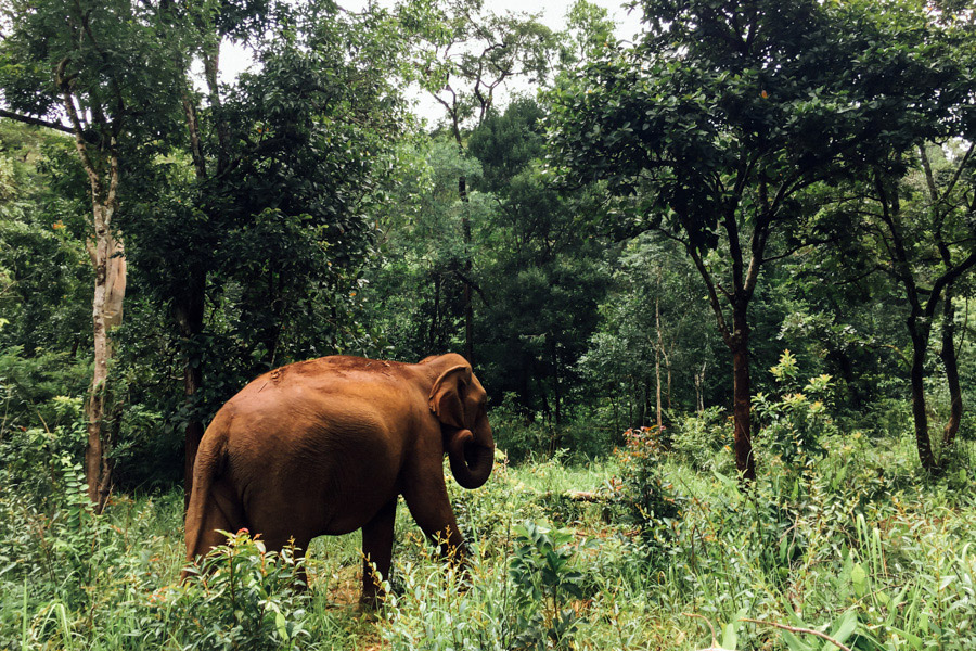 Madelene-Farin-Cambodia-1031.jpg