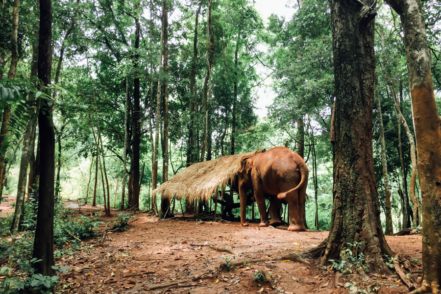 Madelene-Farin-Cambodia-1034.jpg