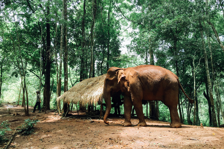 Madelene-Farin-Cambodia-1035.jpg