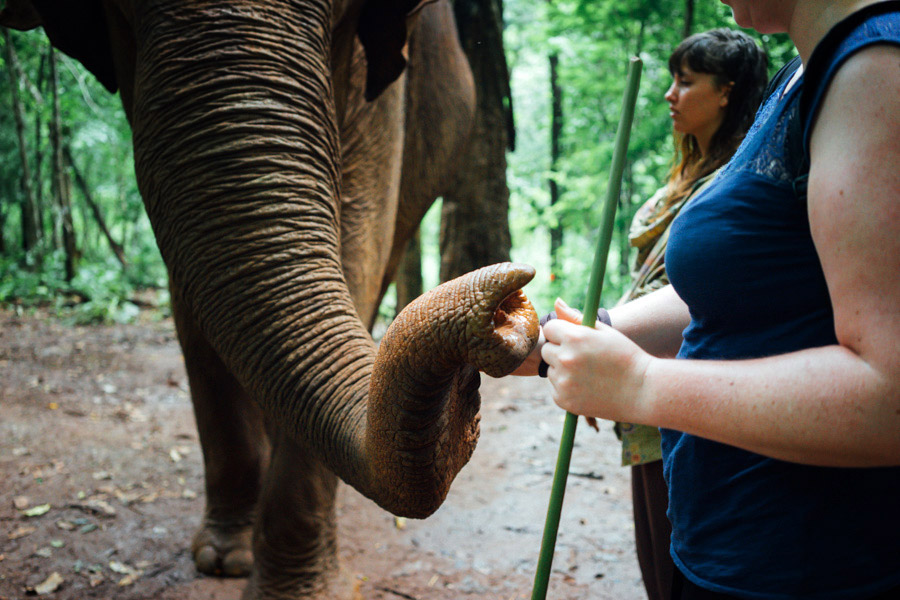 Madelene-Farin-Cambodia-1039.jpg