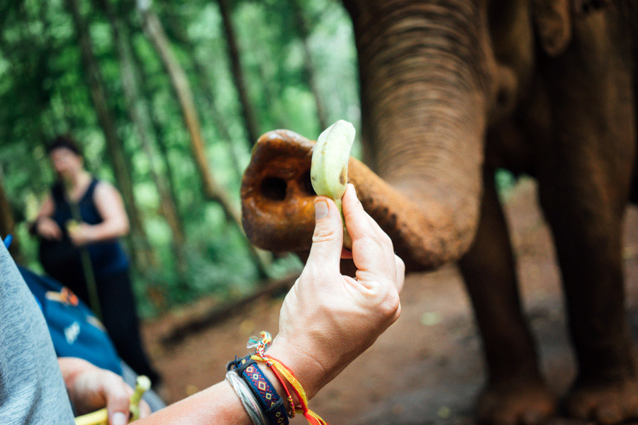 Madelene-Farin-Cambodia-1044.jpg