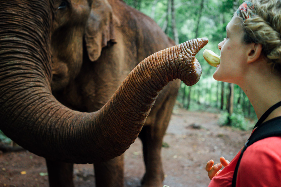 Madelene-Farin-Cambodia-1046.jpg