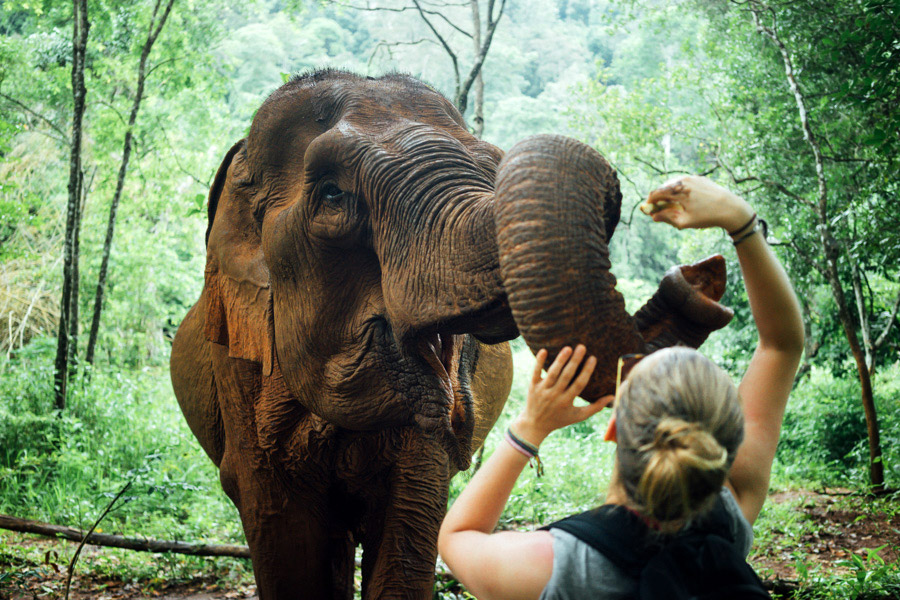 Madelene-Farin-Cambodia-1048.jpg