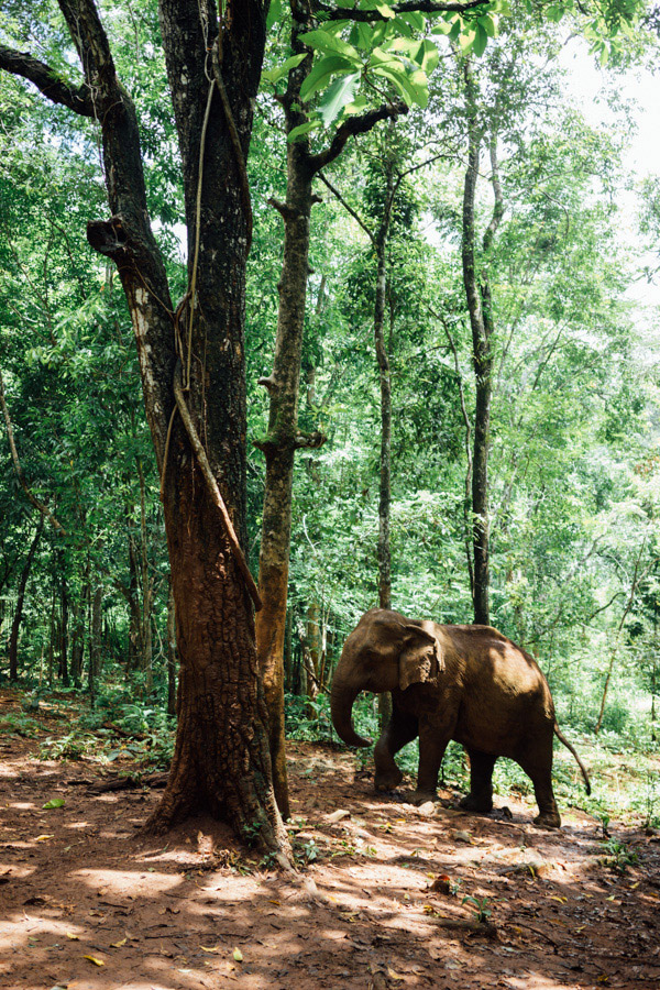 Madelene-Farin-Cambodia-1054.jpg