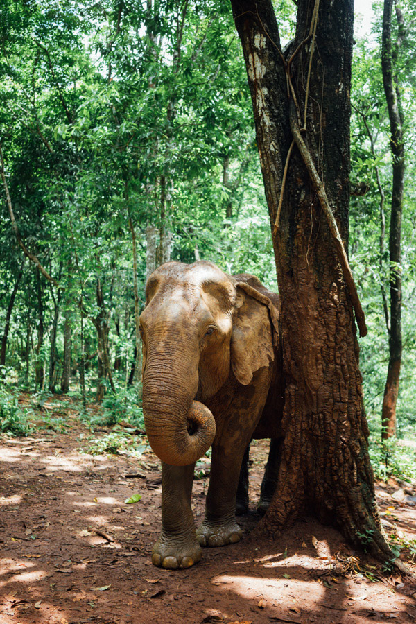 Madelene-Farin-Cambodia-1055.jpg