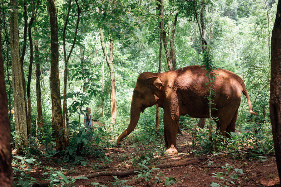 Madelene-Farin-Cambodia-1056.jpg