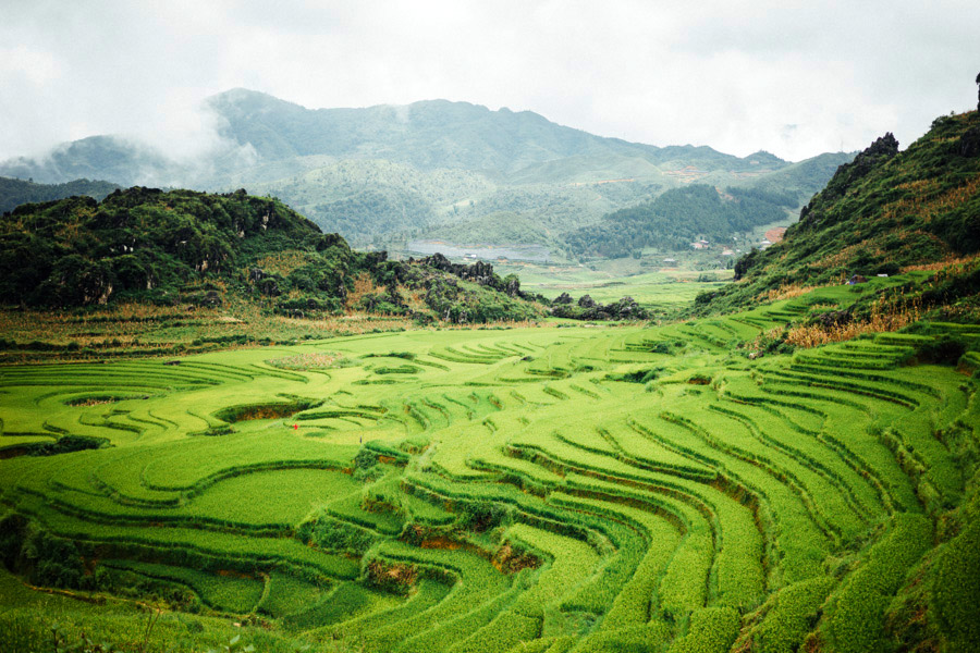 This part of Vietnam is really special to us. From trekking 24km with our new friend Pế,&nbsp;spending a night with a Red Dao family of ten, and visiting Pế’s H’Mong village home to celebrate his brother’s wedding. Our hearts couldn’t be more full. …