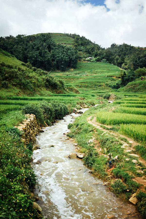 Madelene-Farin-Vietnam-0881.jpg