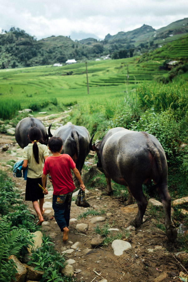 Madelene-Farin-Vietnam-0938.jpg