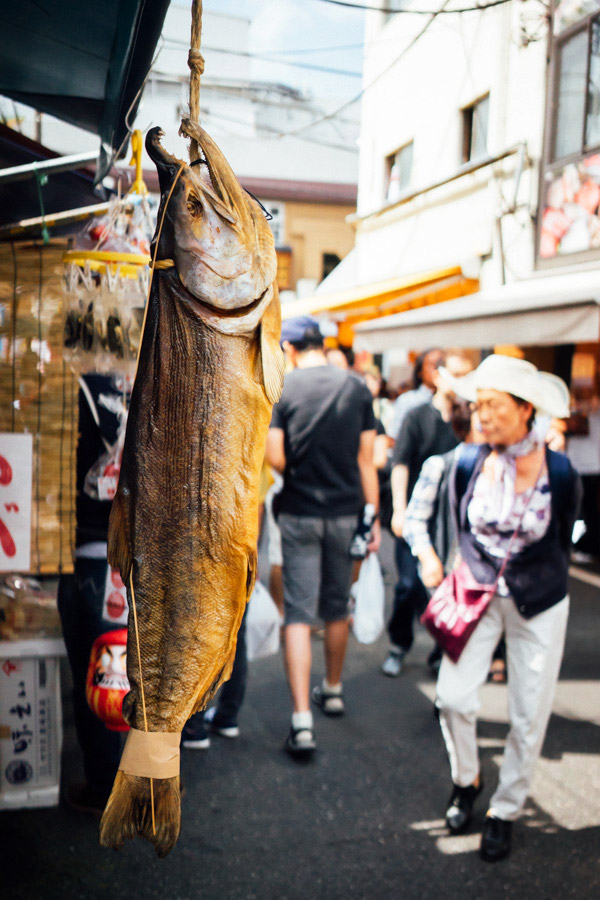 Madelene-Farin-Japan-0641.jpg