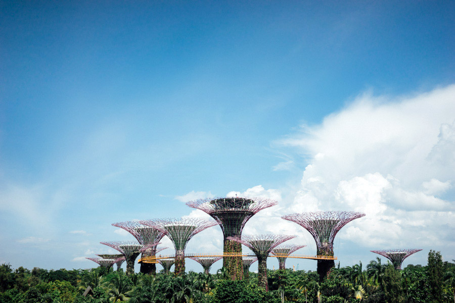 Madelene-Farin-Singapore-0076.jpg