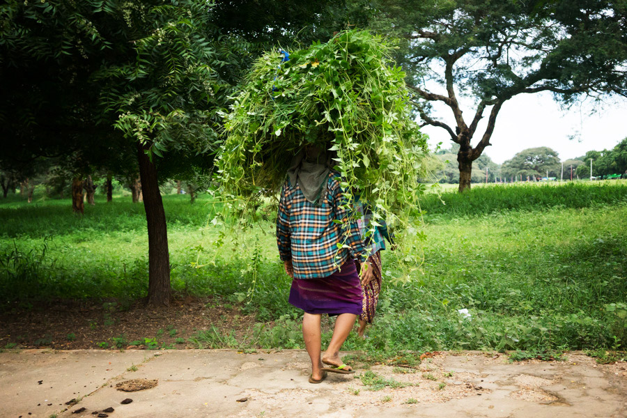 Madelene-Farin-Myanmar-0252.jpg