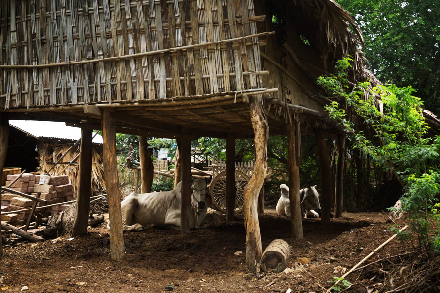 Madelene-Farin-Myanmar-0269.jpg