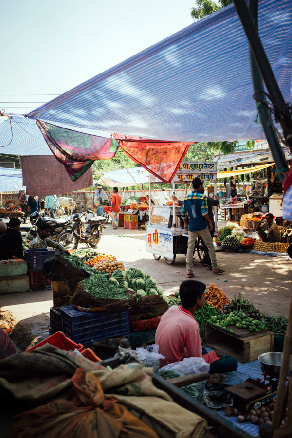 Madelene-Farin-India-0710.jpg