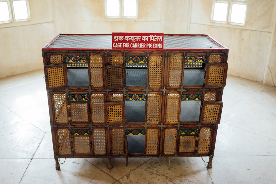 Madelene-Farin-India-0879.jpg