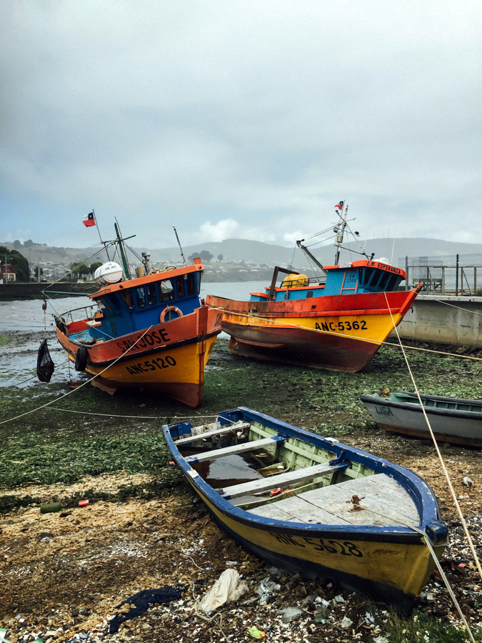  Colorful fishing boats at low tide in Ancud. 