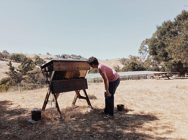 2/3. Fall in California. // Alex&rsquo;s colleague built a solar-powered beehive on the hill outside their office. One weekend we decided to check on them. 🐝
-----
#honey #beehive #california #visitcalifornia #vsco #vscocam #vscotravel @sonyalpha #s