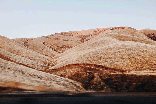 Hills of gold on a classic California road trip between Los Angeles and San Francisco.
-----
#roadtrip #california #visitcalifornia #californialove #vsco #vscocam #vscotravel @sonyalpha #sonyimages #sonya7ii #35mm