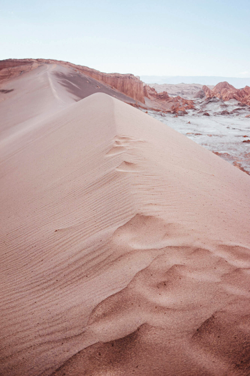  Untouchable sand dunes that extend toward Moon Valley. Climbing them was off limits. 