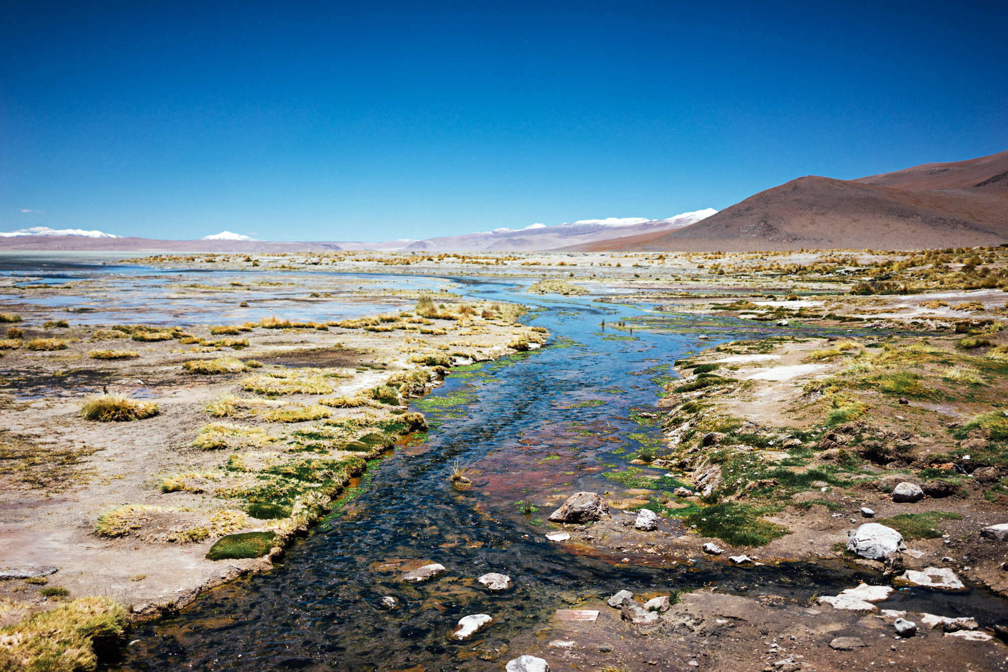 madelene-farin-bolivia-uyuni-019.jpg