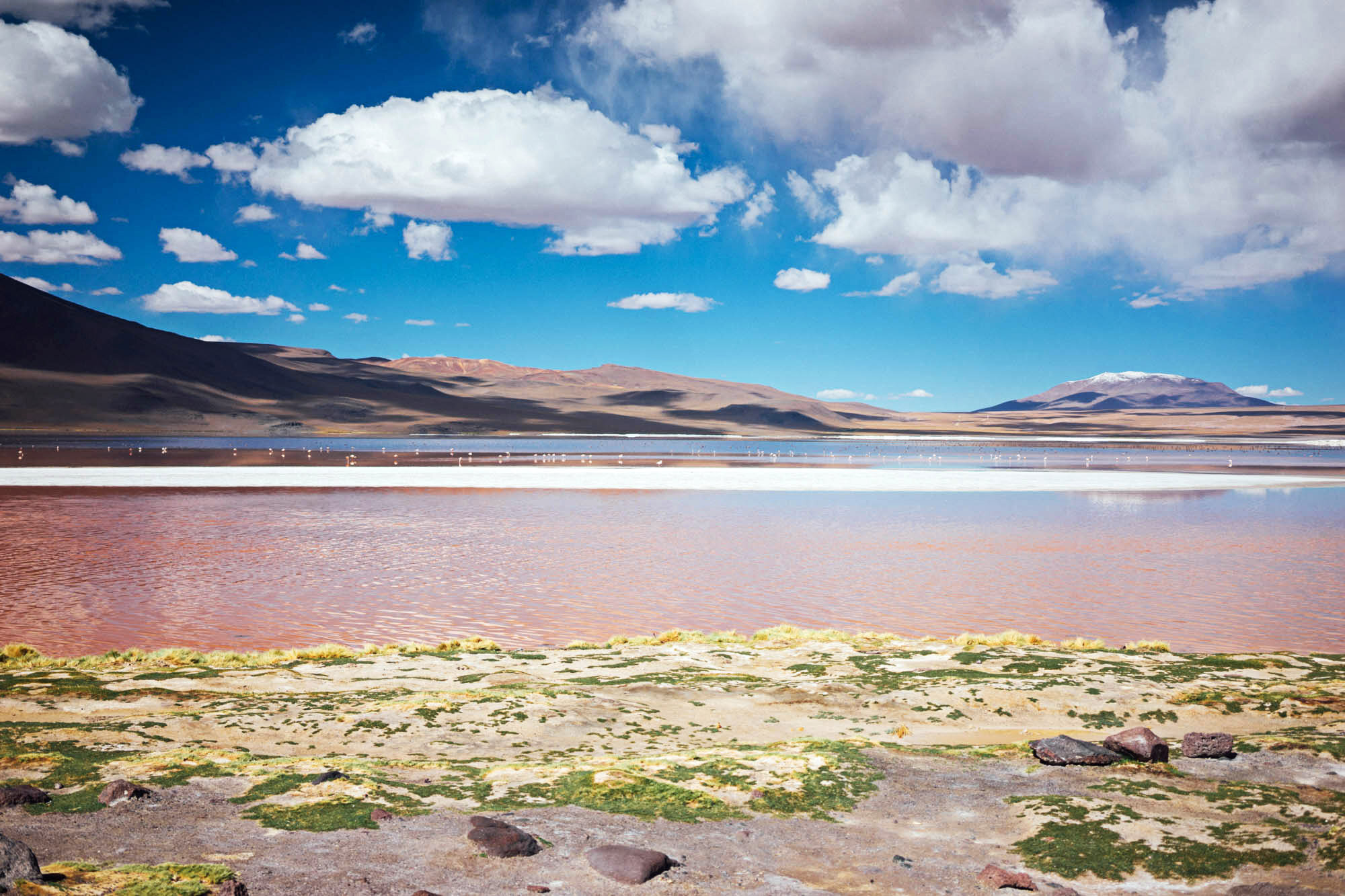 madelene-farin-bolivia-uyuni-026.jpg