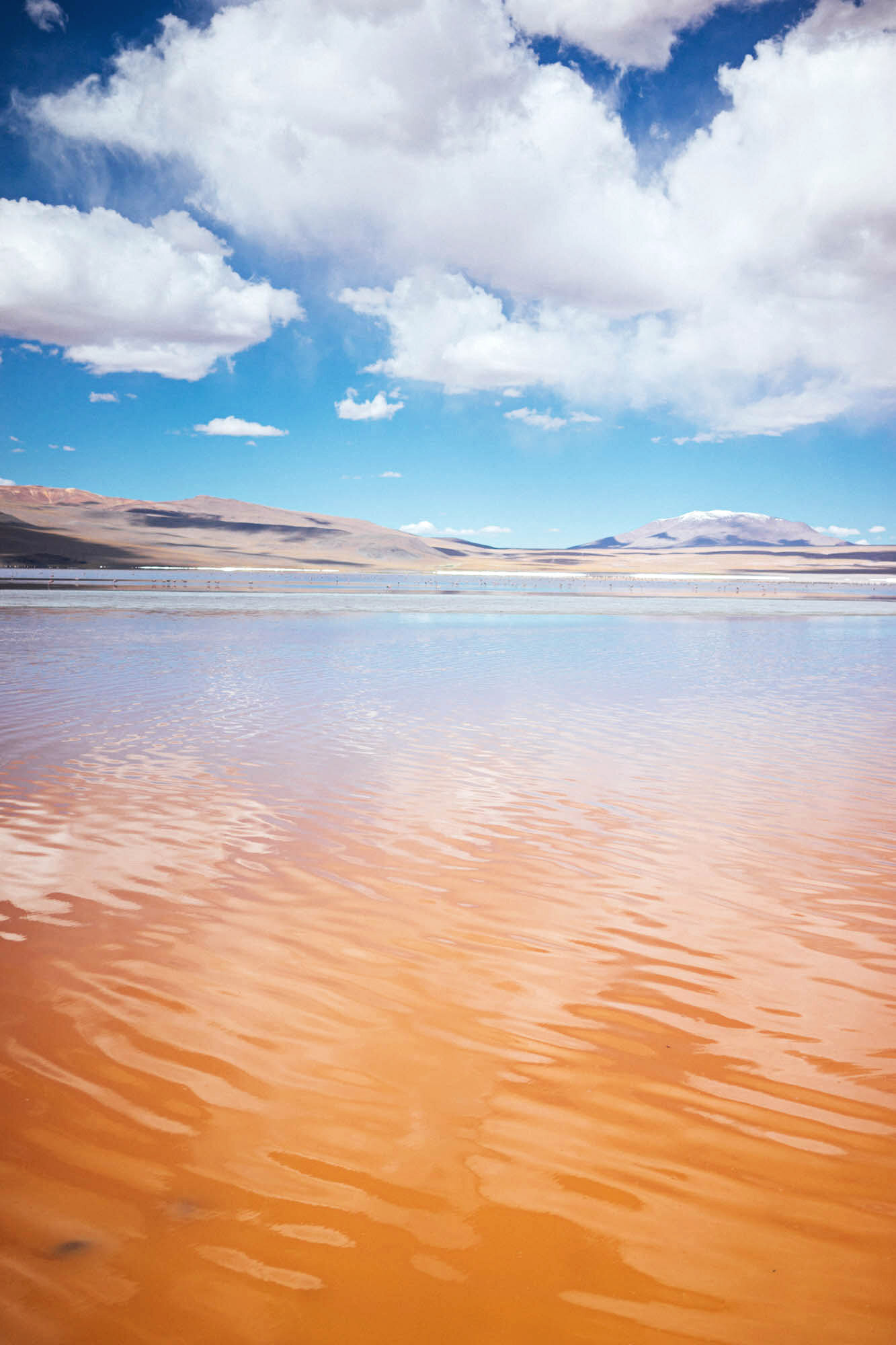 madelene-farin-bolivia-uyuni-028.jpg