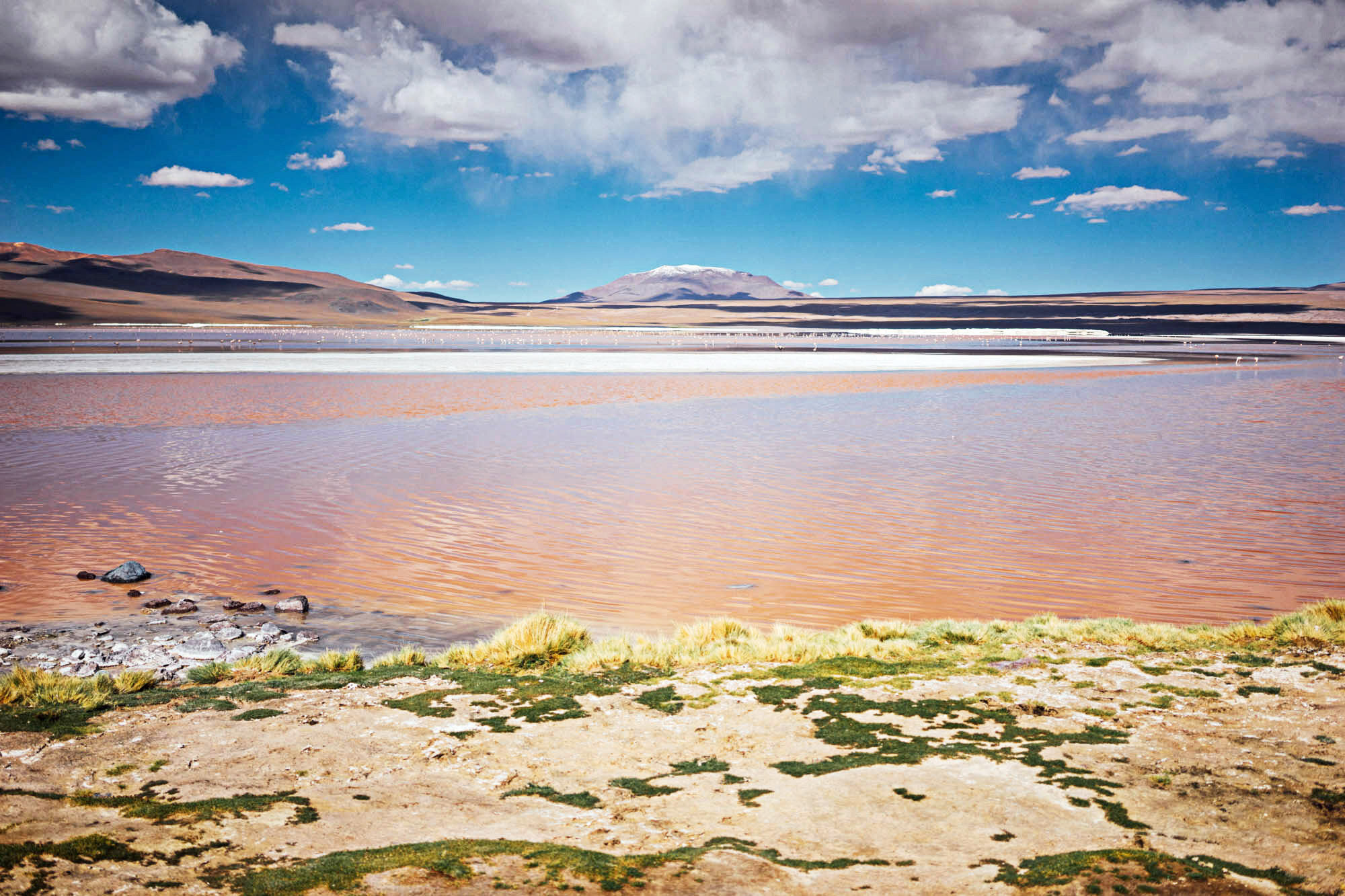 madelene-farin-bolivia-uyuni-030.jpg