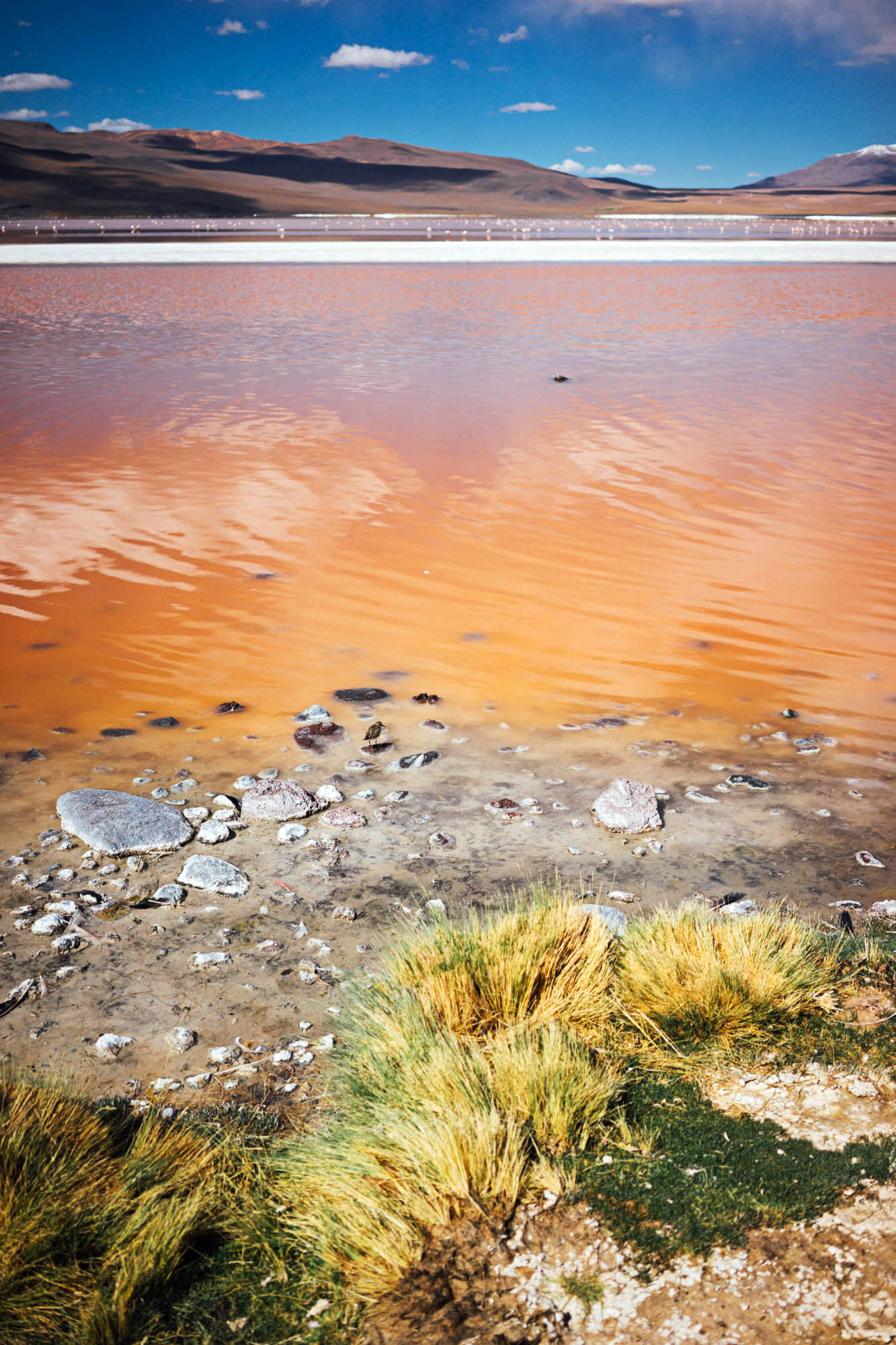 madelene-farin-bolivia-uyuni-031.jpg