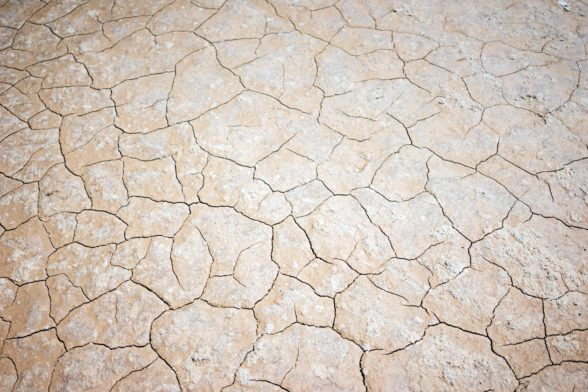 madelene-farin-bolivia-uyuni-072.jpg