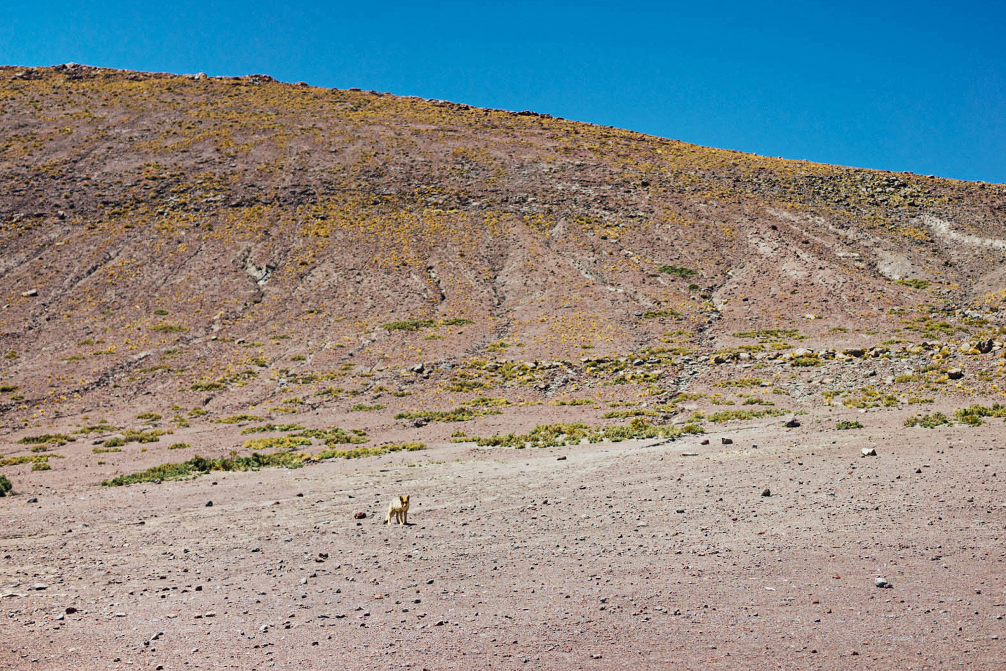 madelene-farin-bolivia-uyuni-075.jpg