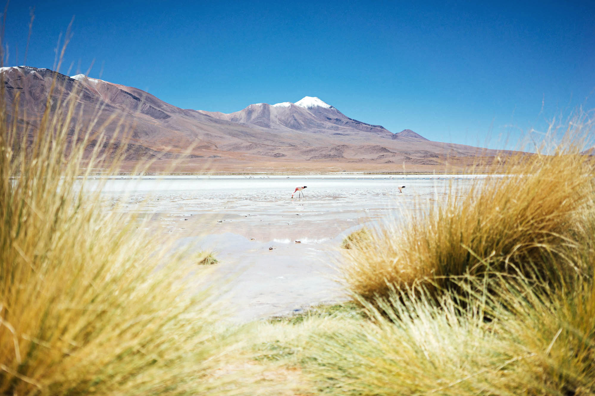 madelene-farin-bolivia-uyuni-086.jpg