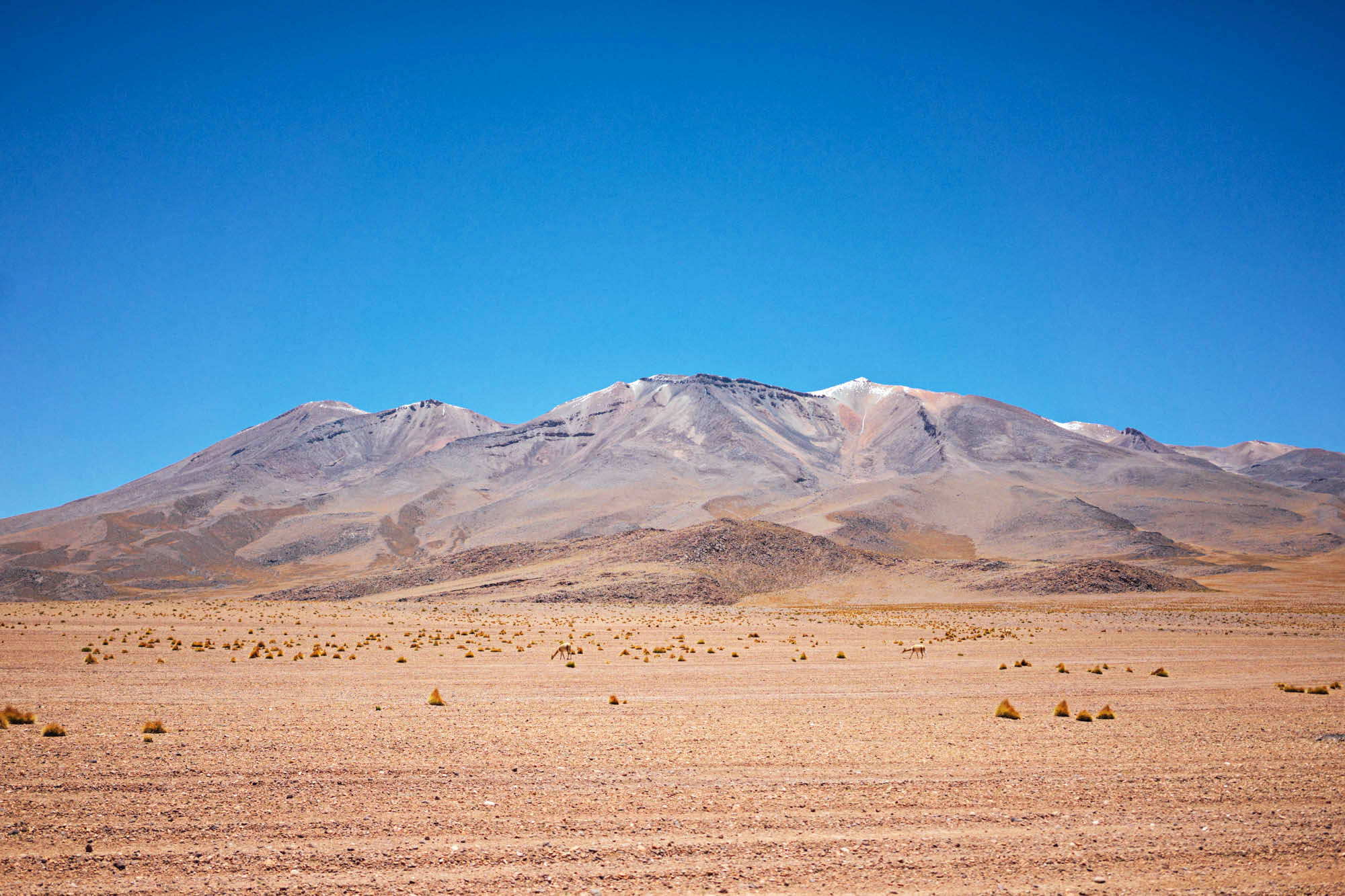 madelene-farin-bolivia-uyuni-088.jpg