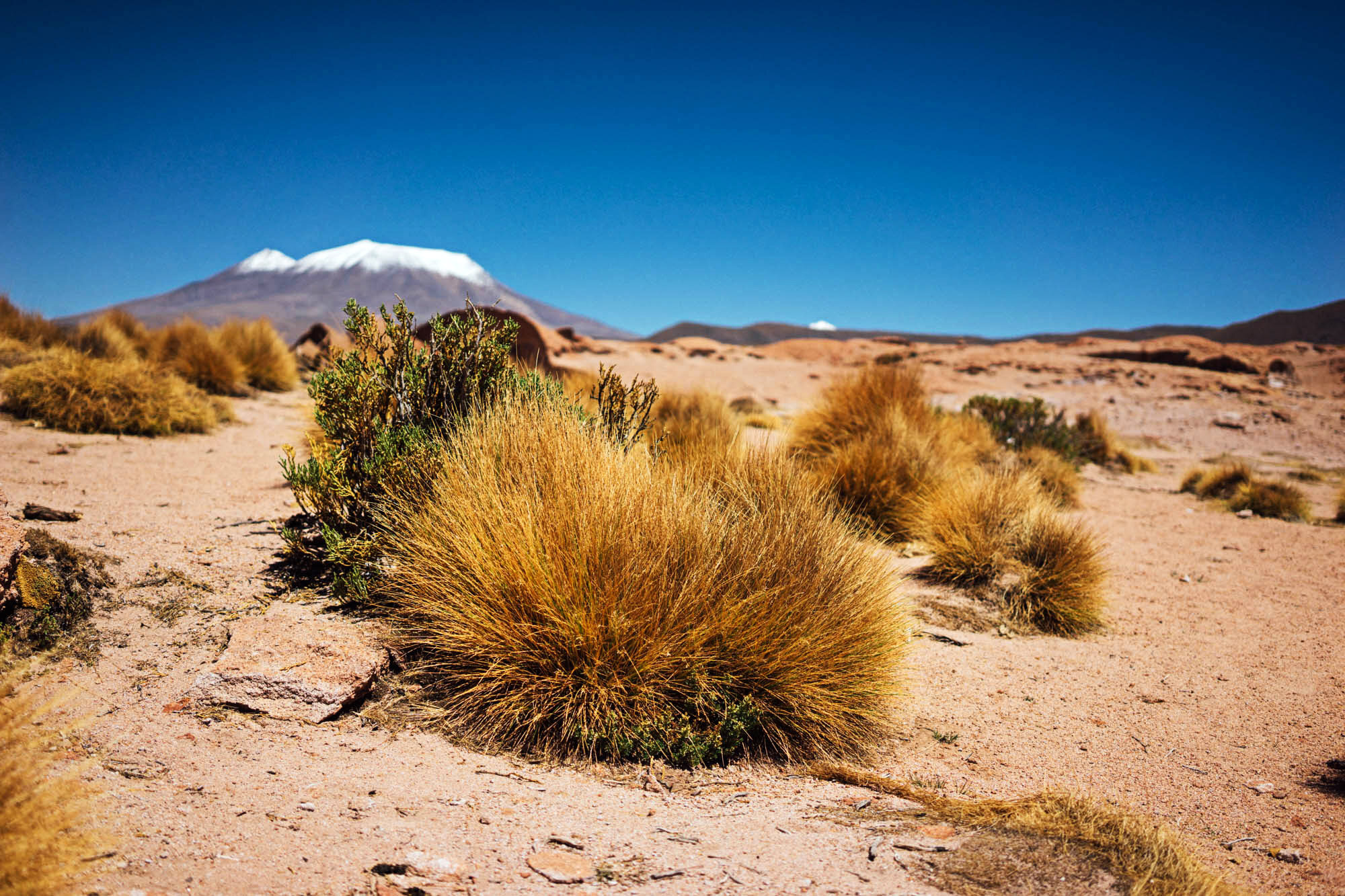 madelene-farin-bolivia-uyuni-092.jpg