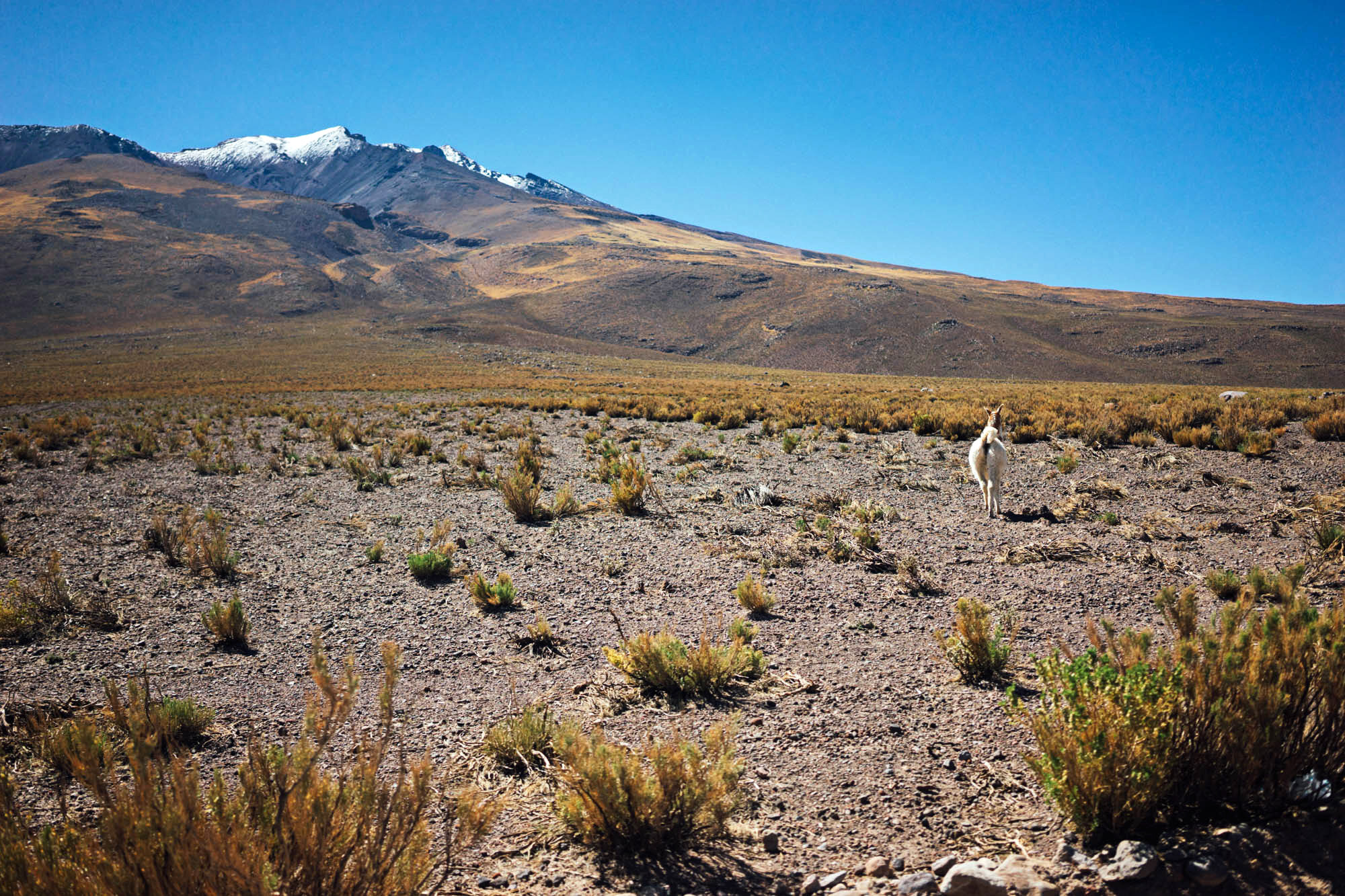 madelene-farin-bolivia-uyuni-098.jpg