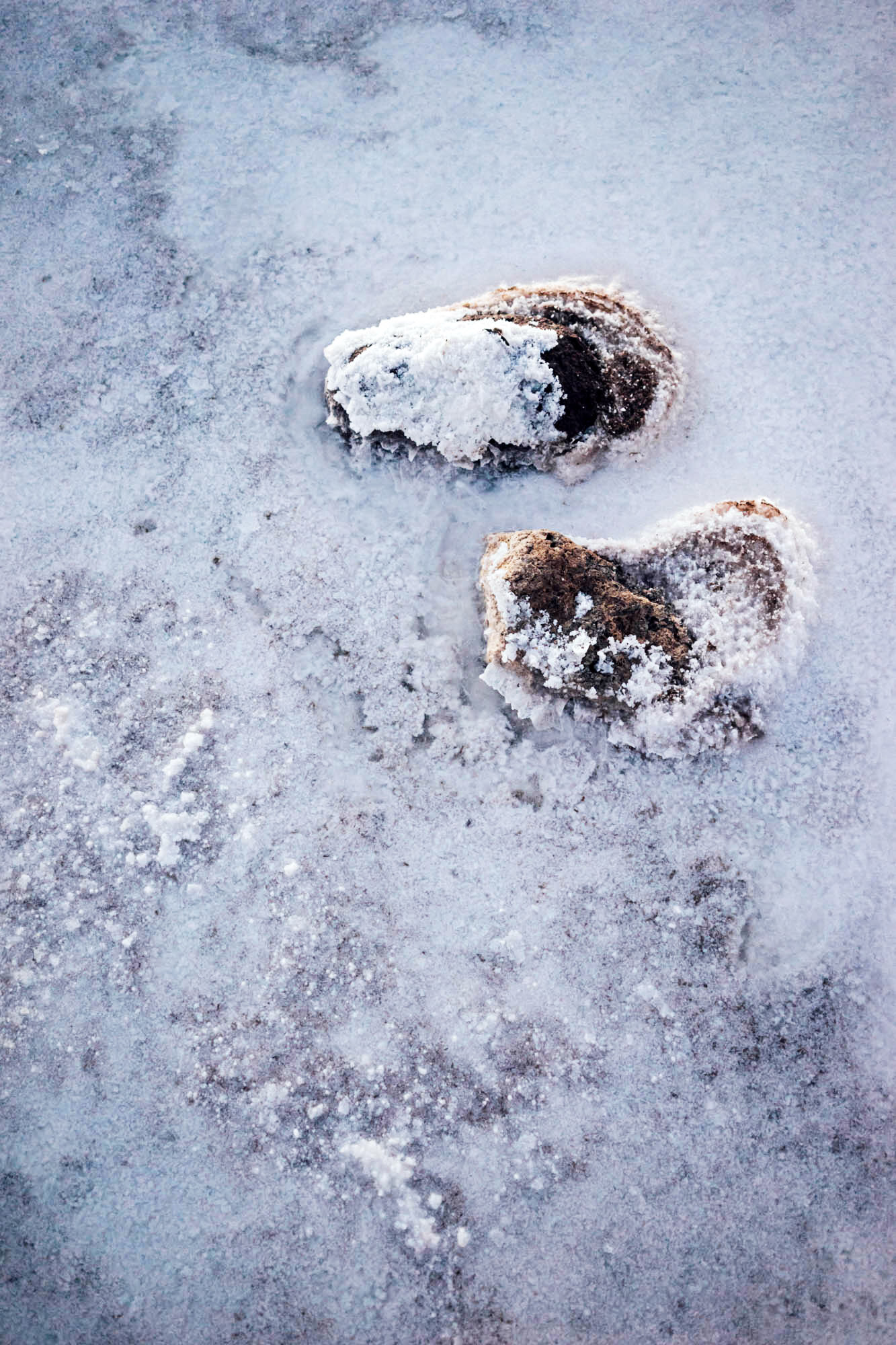 madelene-farin-bolivia-uyuni-135.jpg