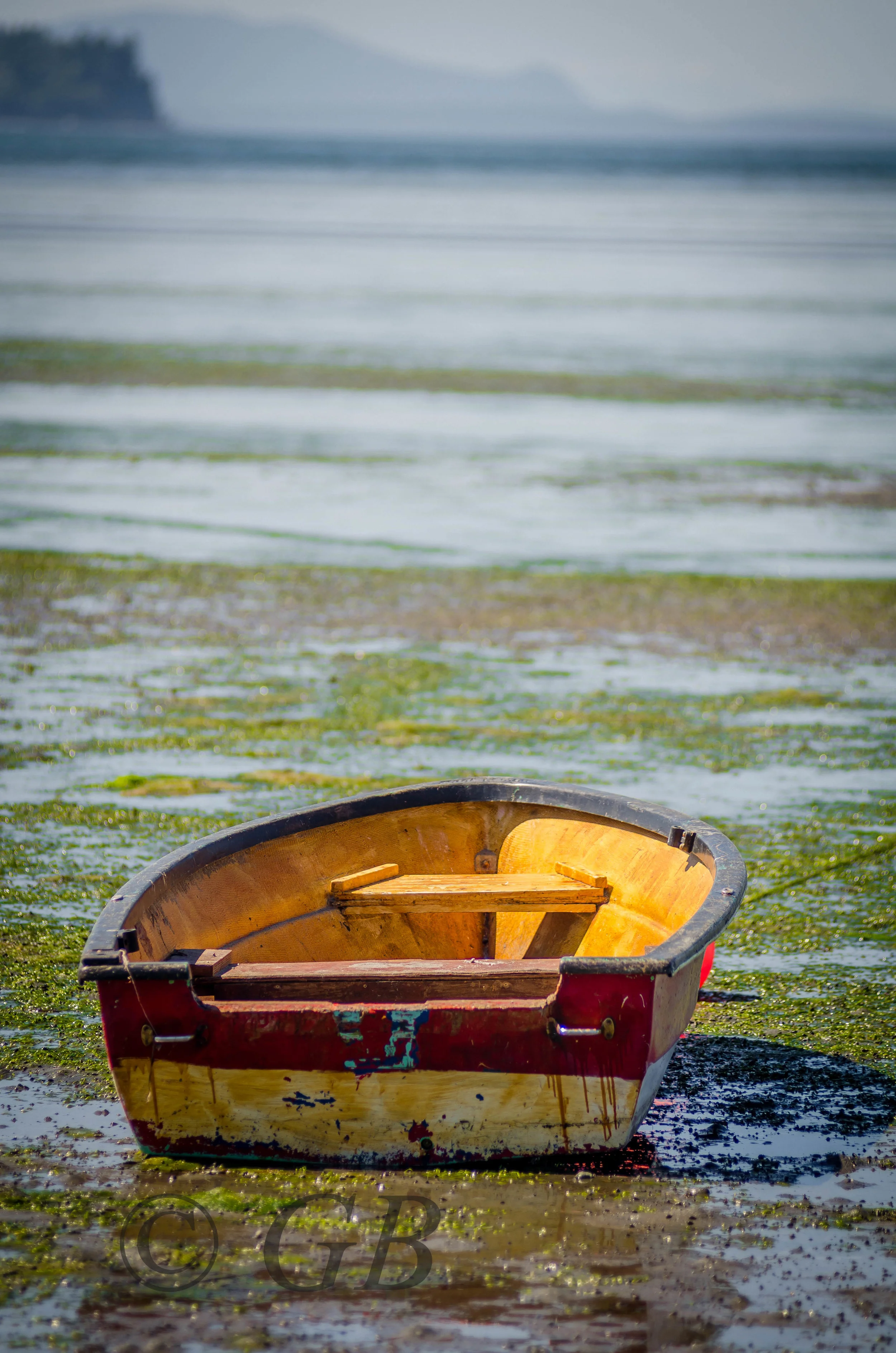 Audette Lake and Birch Bay - edited-15.jpg