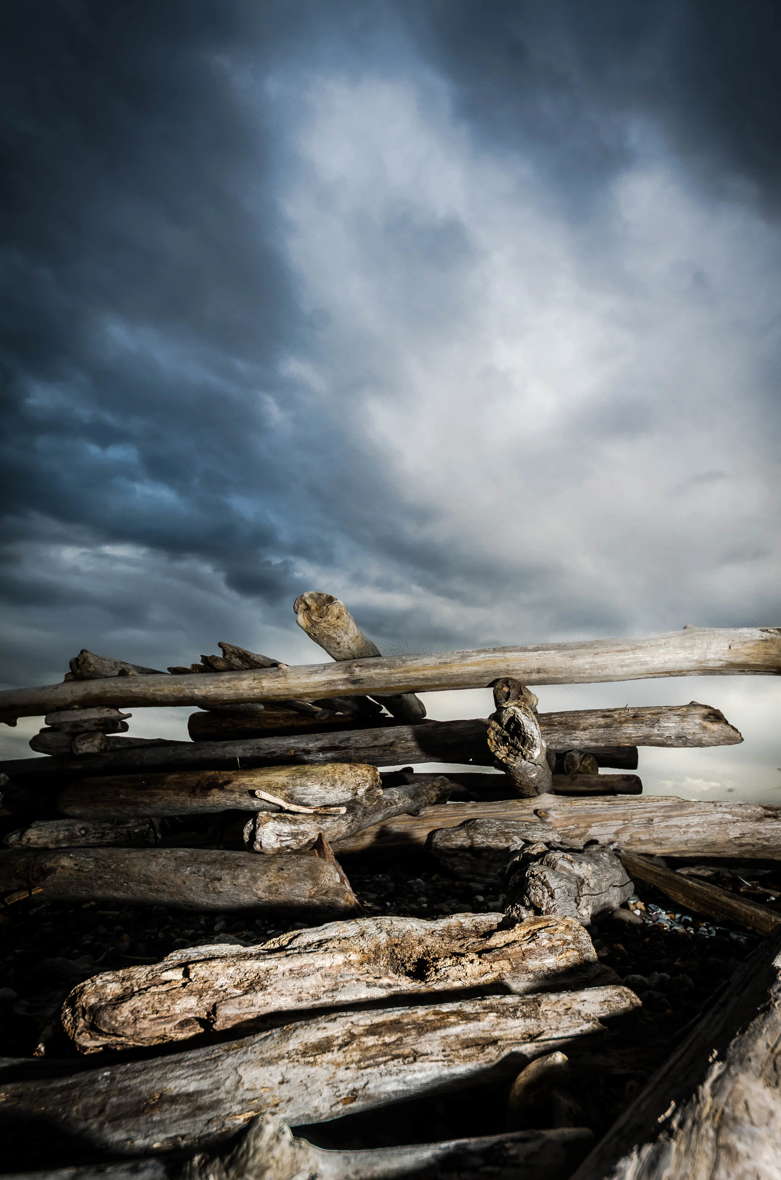 Driftwood - edited - 9-30-2015-13.jpg