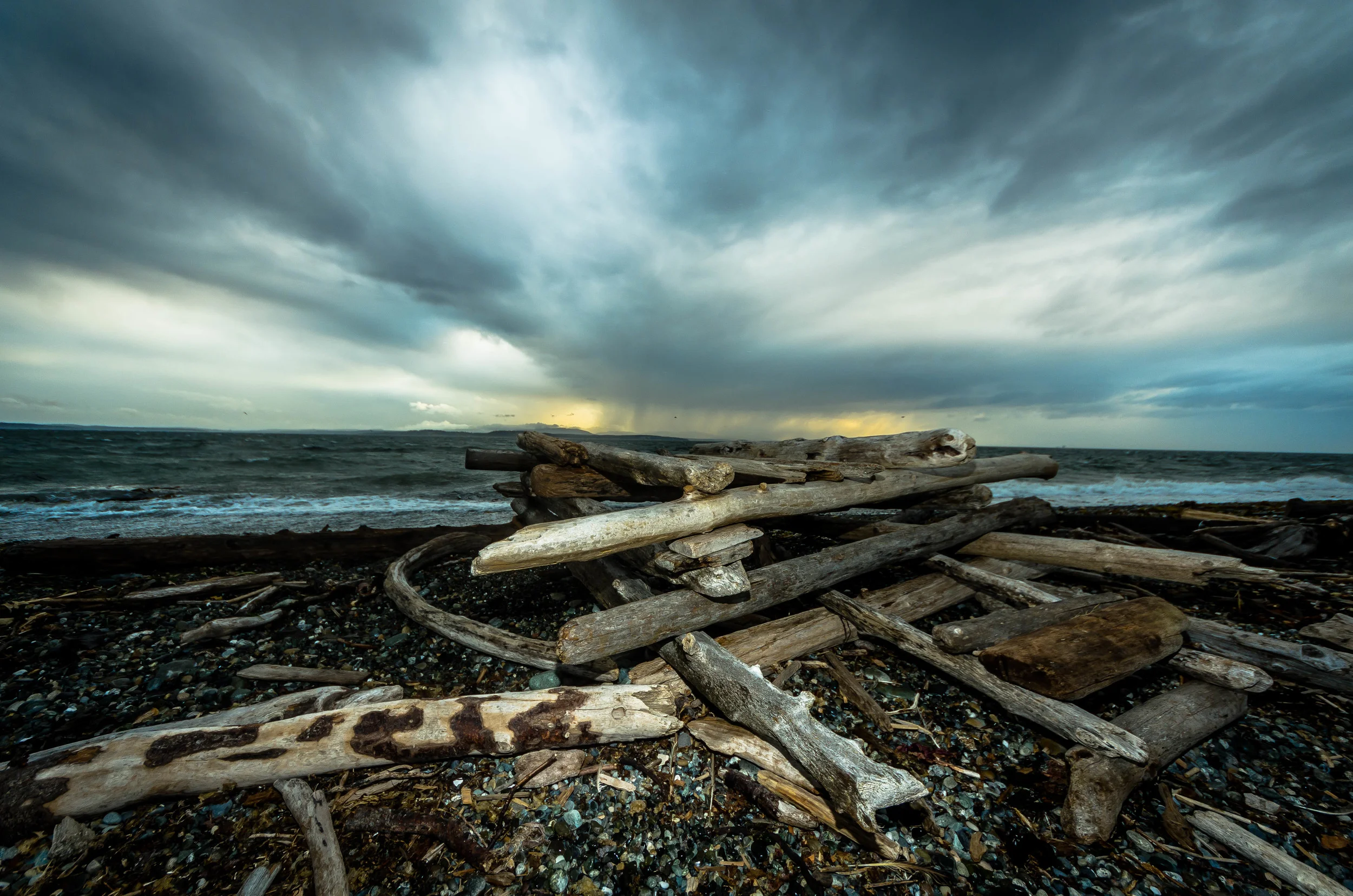 Driftwood - edited -7.jpg