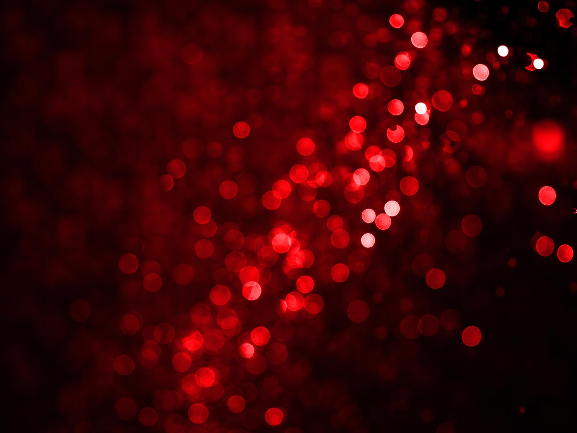 Banner-Red.jpg